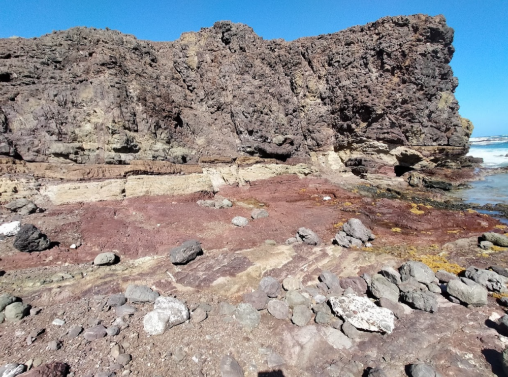 Screenshot 2021-02-08 at 09.05.27.png