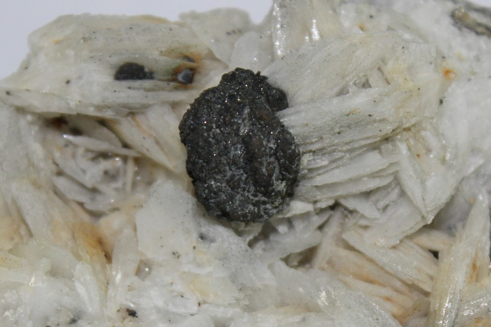 IMG_0768  10x6cm (2).JPG