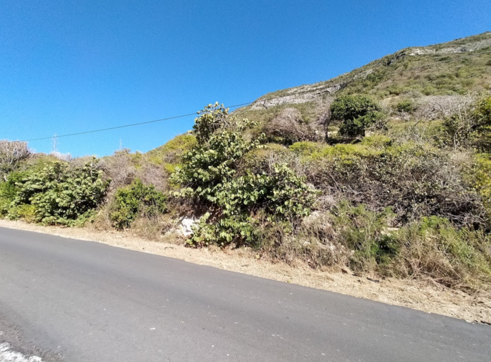 Screenshot 2021-02-07 at 13.21.14.png