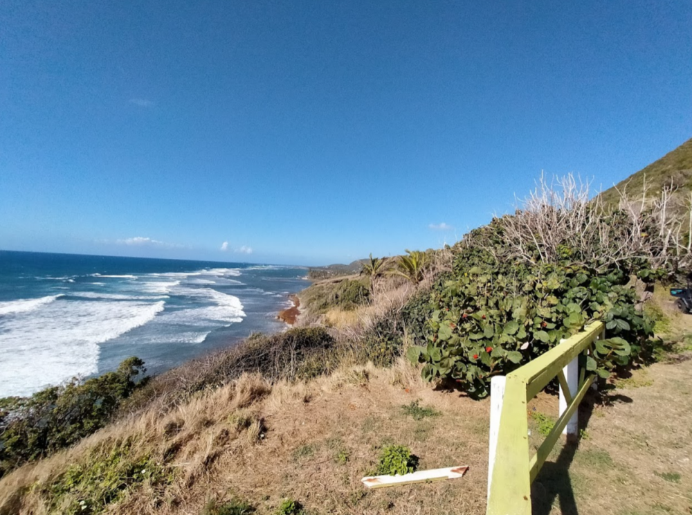 Screenshot 2021-02-07 at 13.20.17.png