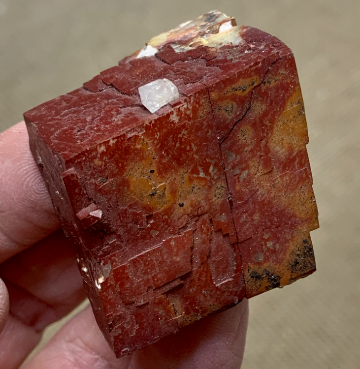 Capture d’écran 2021-02-23 à 20.32.11.png