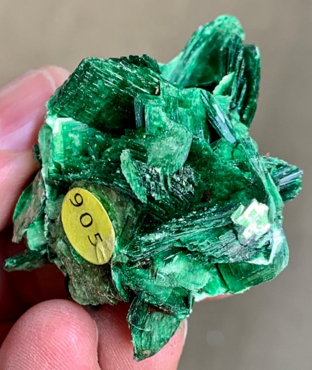 Capture d’écran 2021-01-27 à 19.19.19.png