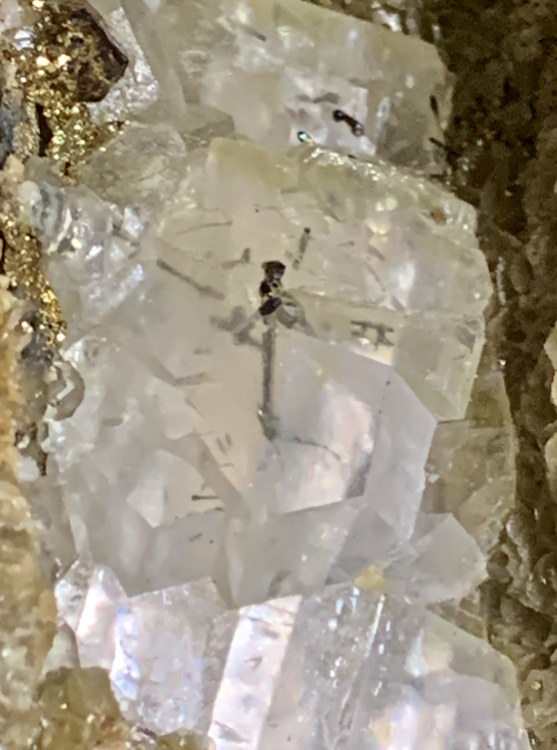 Capture d’écran 2021-02-27 à 00.15.30.png