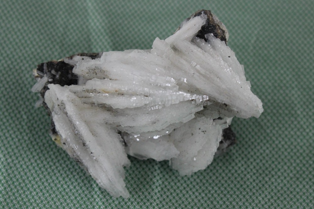 IMG_8947 (2)  5x4cm.JPG