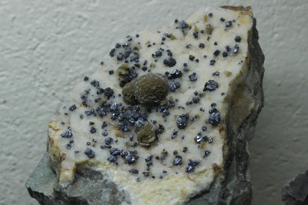 IMG_2237 (2) 11x8cm.JPG