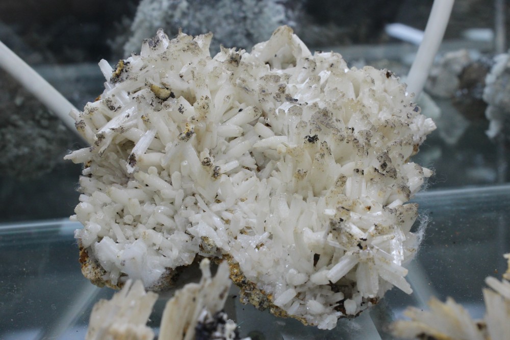 IMG_9659 (3)13x12cm.JPG