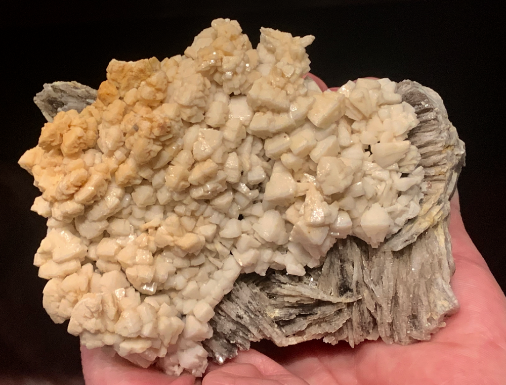 Capture d’écran 2021-03-25 à 23.36.10.png