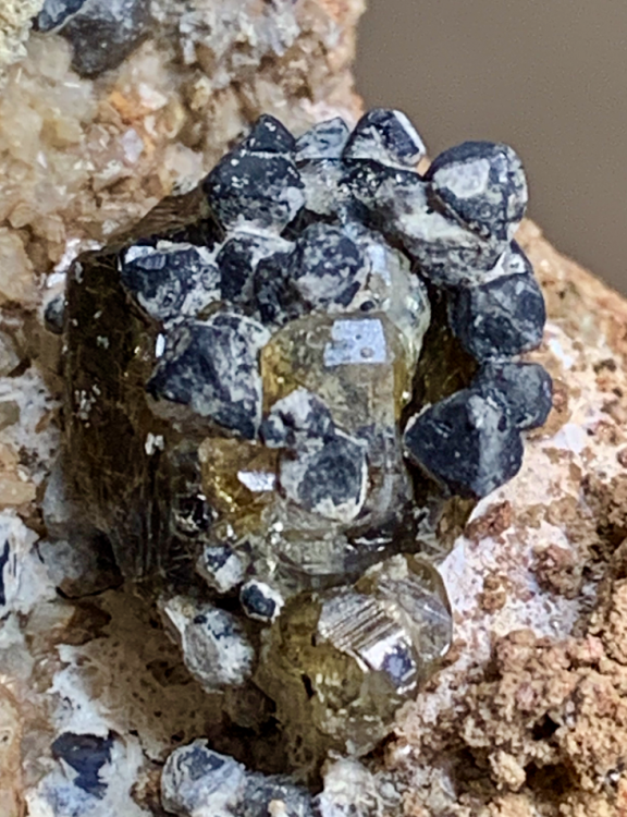 Capture d’écran 2021-03-13 à 19.53.59.png