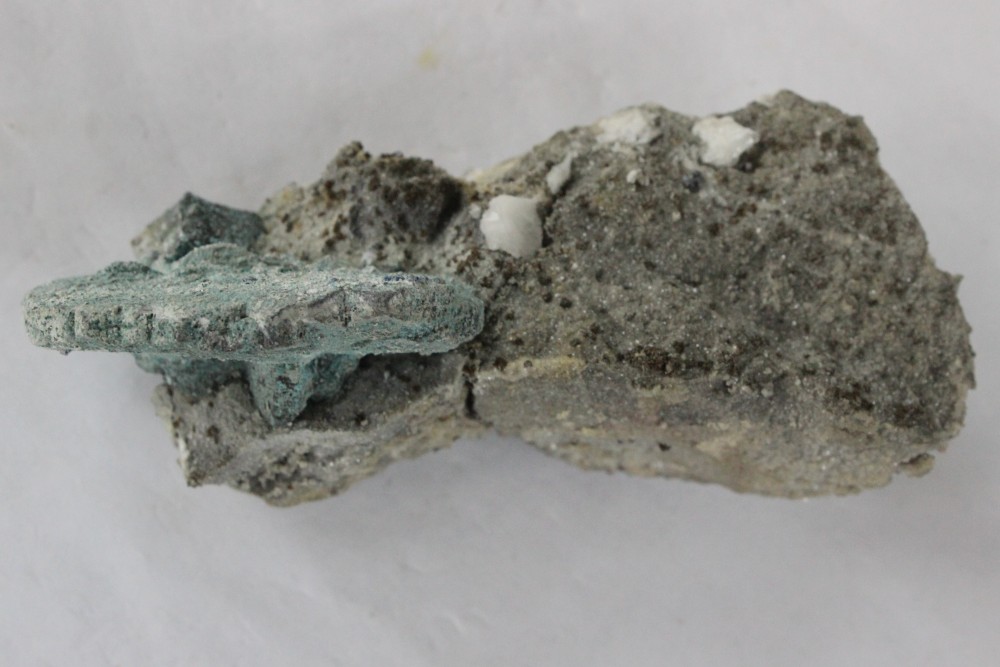 IMG_6297 10x4cm (2).JPG