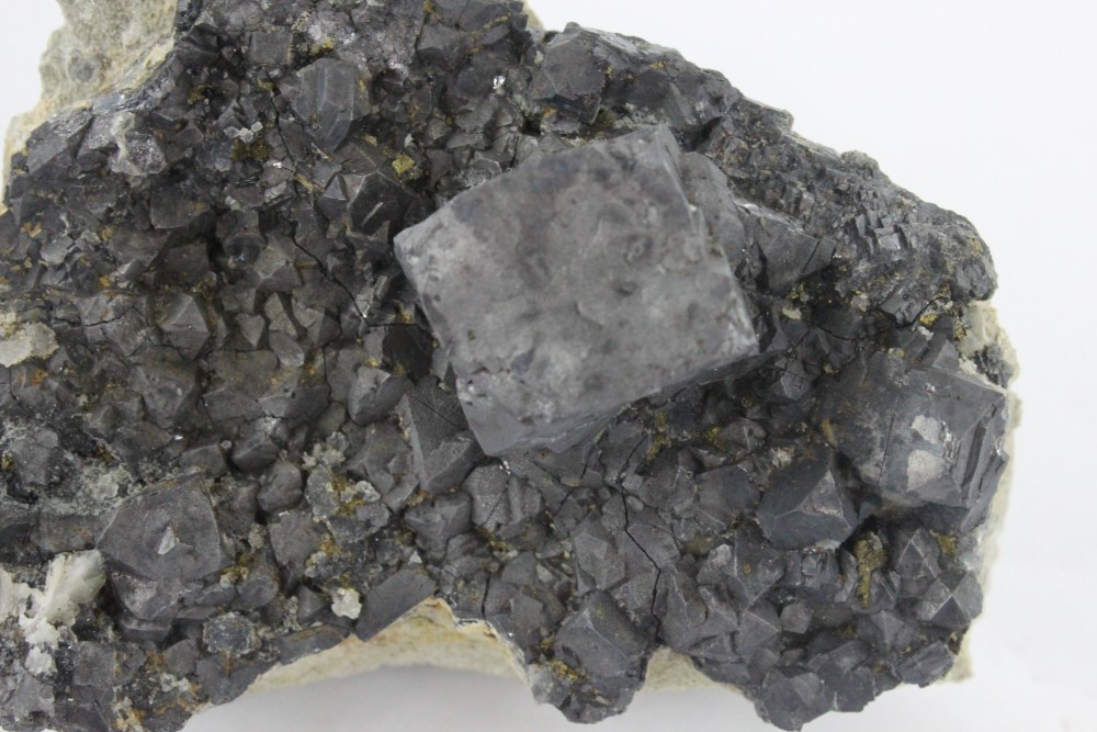 IMG_3257 (2)  7x5cm.JPG