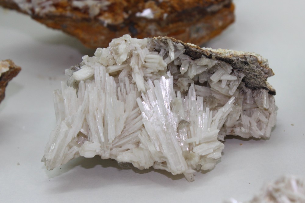 IMG_9600 (2)8x5cm.JPG