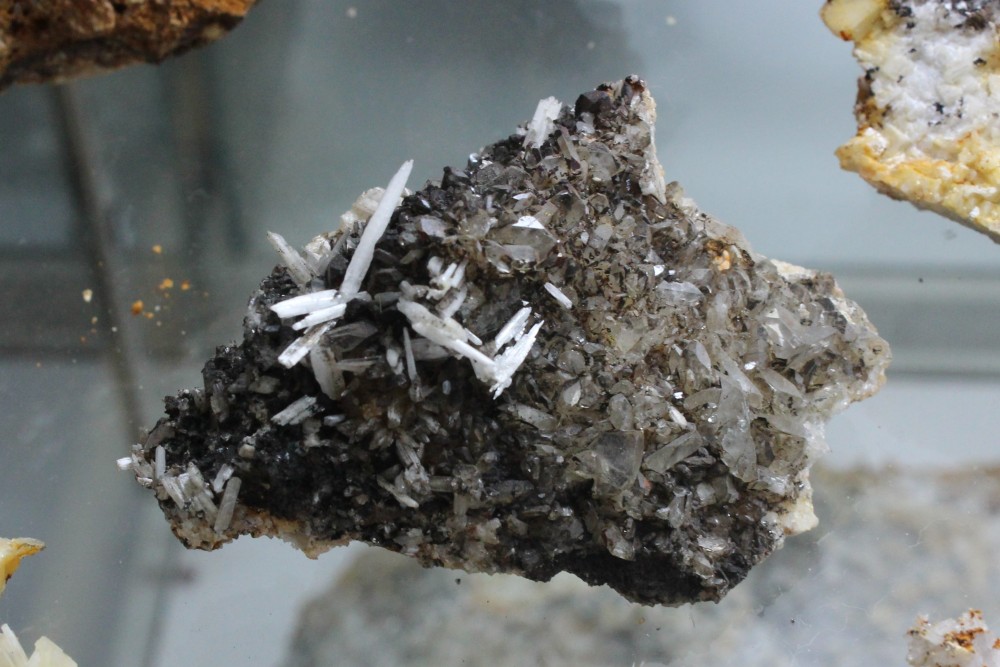 IMG_9634 (2)  7x5cm.JPG