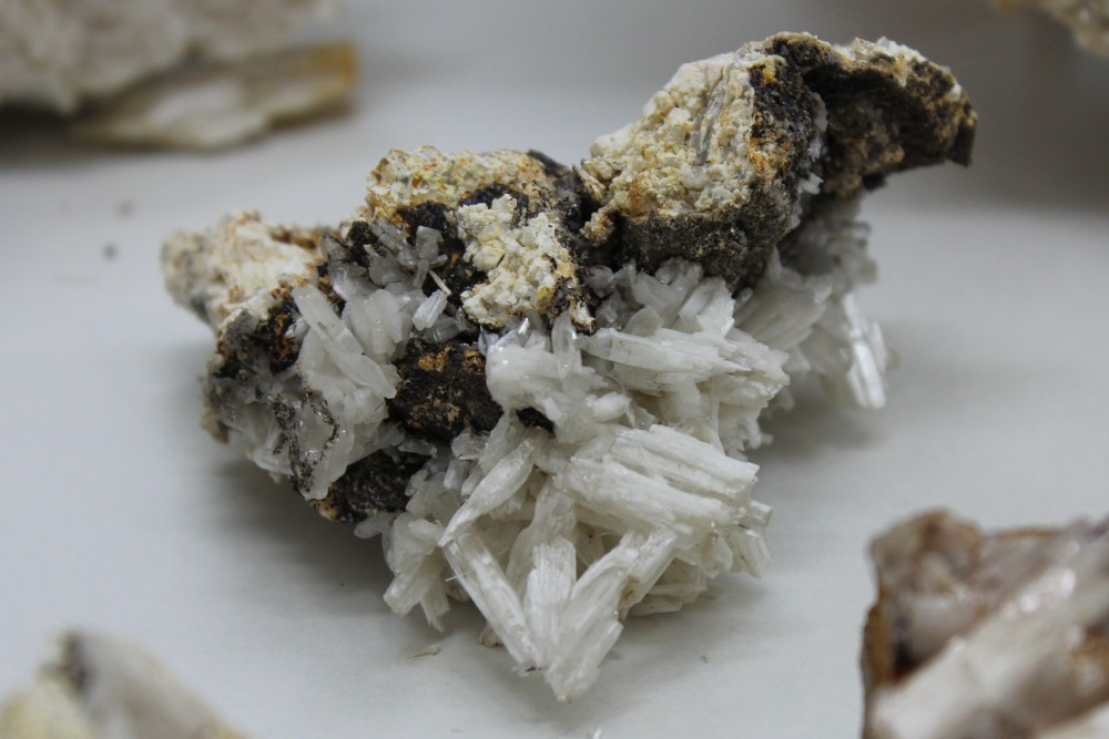 IMG_9603 (2)  8x6cm.JPG