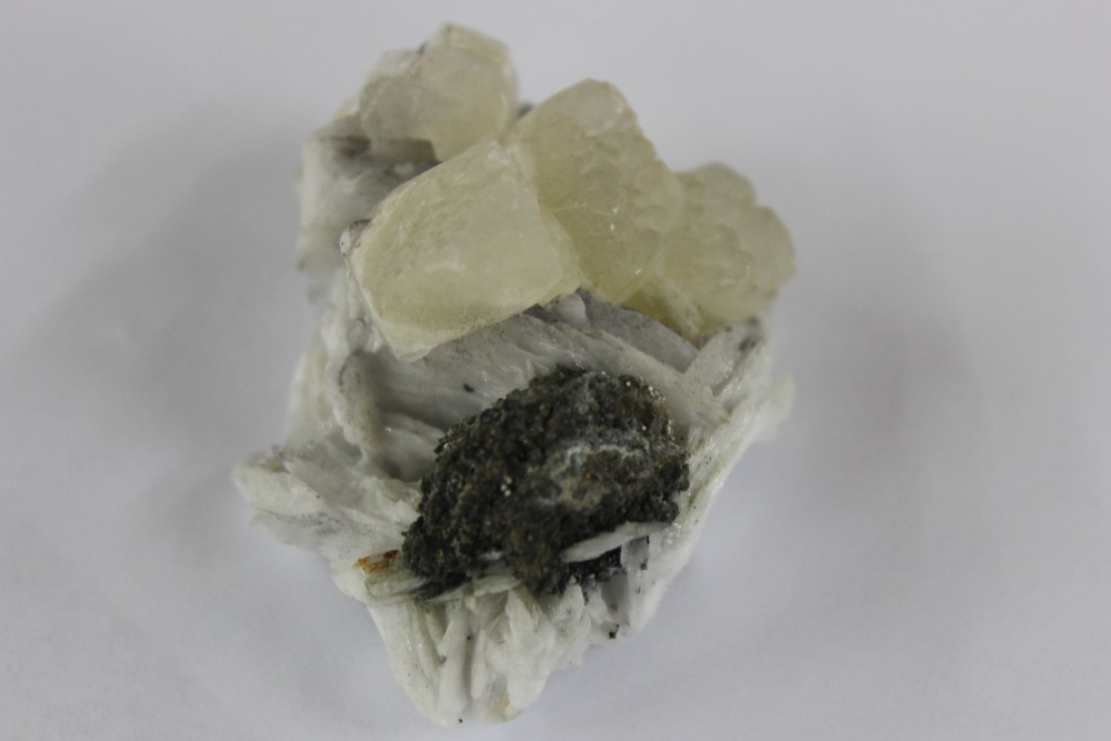 IMG_9992 (3)  5x4cm.JPG