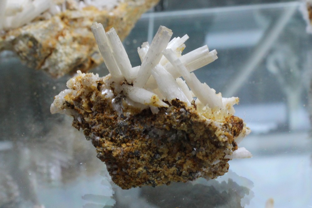 IMG_9656 (2) 5.5x5cm.JPG