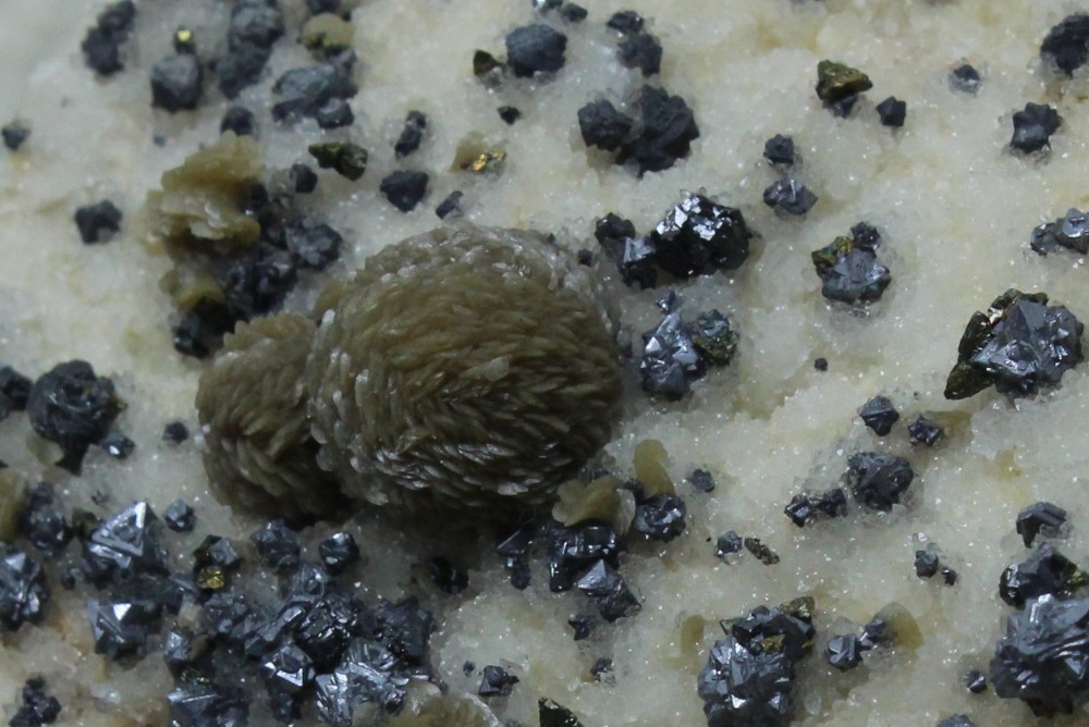 IMG_2237 (3) 11x8cm.JPG