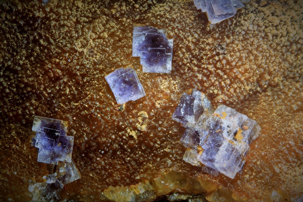 Fluorine bleue Compolibat 017 (2) (Copier).jpg