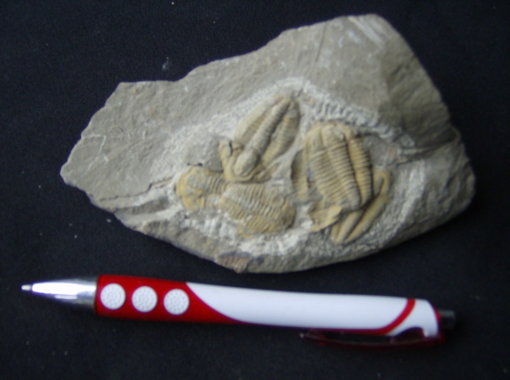 Bloc indeterminé de 5 pièces ERFOUD 14 X 9 cm (2).JPG