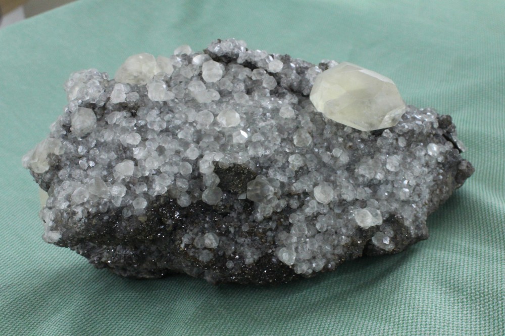 IMG_9732 (2) 16x10cm.JPG