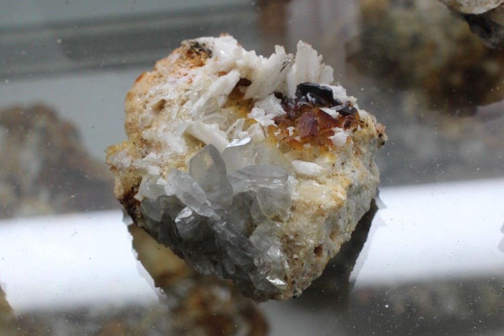 IMG_9637 (2) 6x4cm.JPG