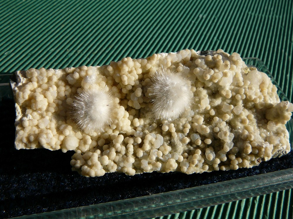 Okénite sur Gyrolite et Quartz Poona Inde 3.JPG