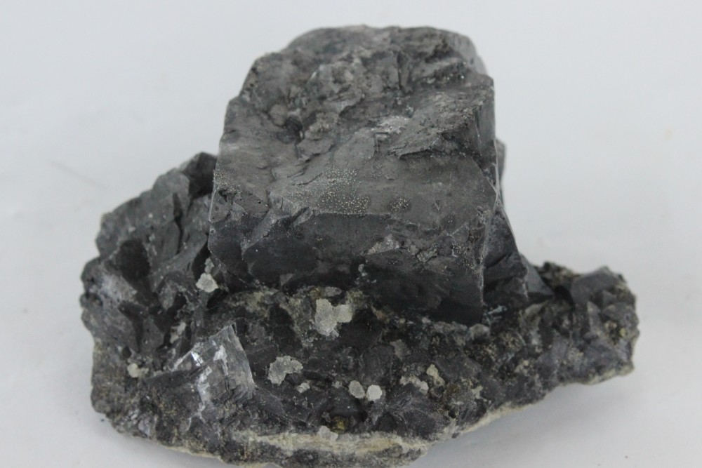 IMG_3269 (2)  5.5x4cm.JPG