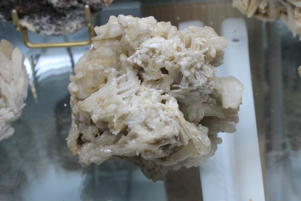 IMG_9653 (2)  7x7cm.JPG