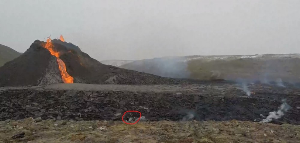 Capture d’écran 2021-03-27 161447.jpg