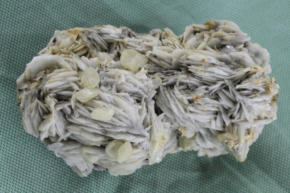 IMG_9451 (2)  11x6cm.JPG