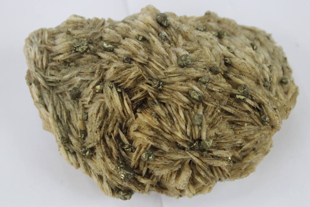 IMG_0172 (2)  9x7cm.JPG