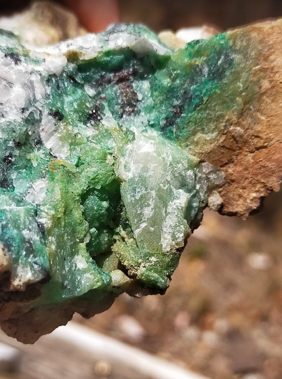 Screenshot 2021-03-07 at 09.37.24.png