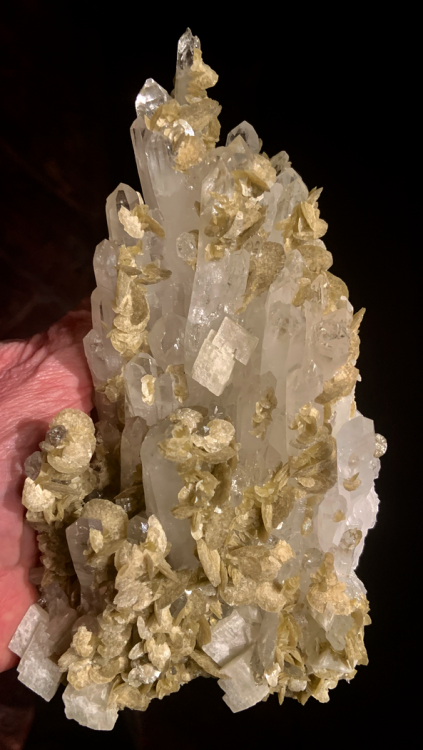 Capture d’écran 2021-02-27 à 00.19.50.png