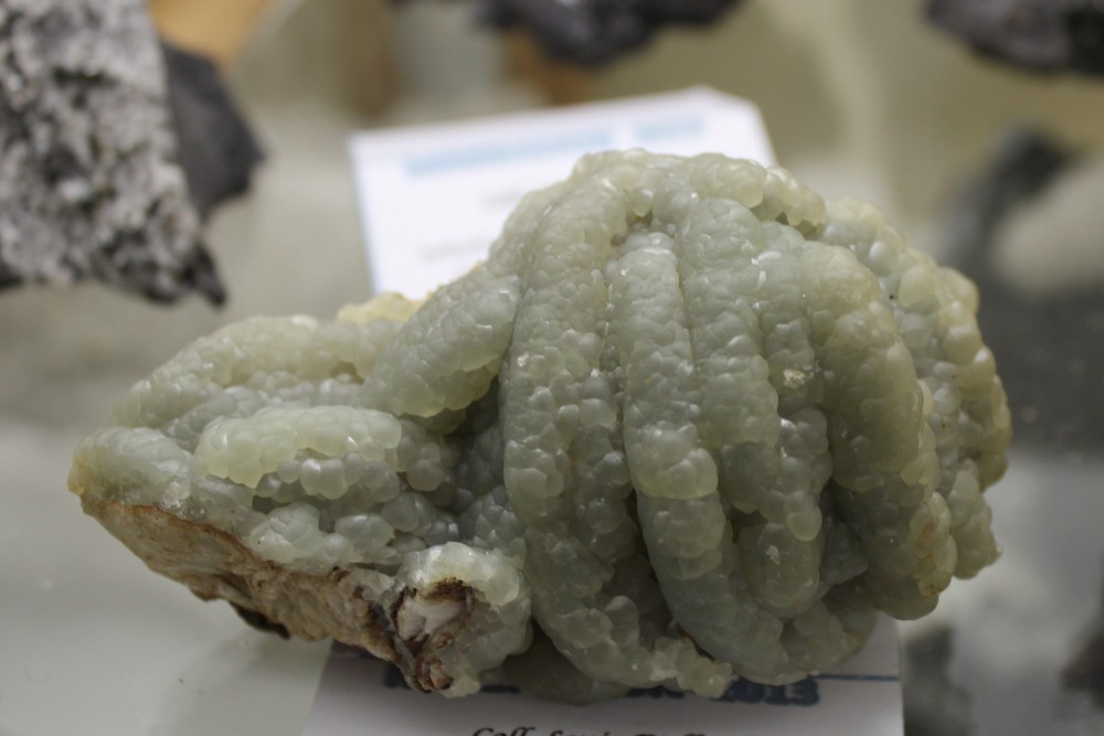 IMG_9697 (3)9.5x6cm.JPG