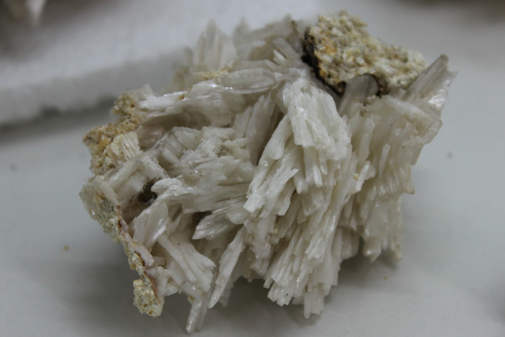 IMG_9605 (2)  6x5cm.JPG