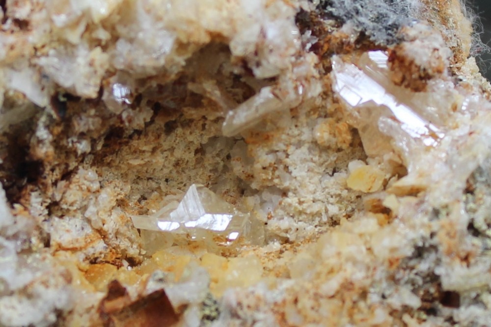 IMG_9540 (3)  10x9cm.JPG