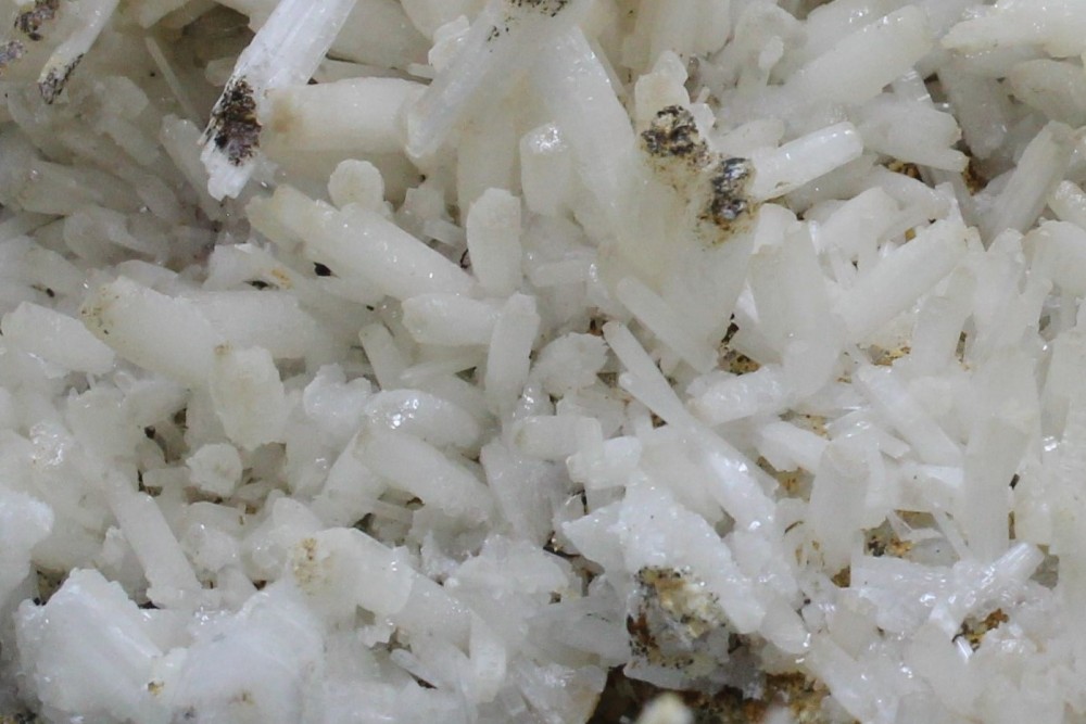 IMG_9659 (4)13x12cm.JPG