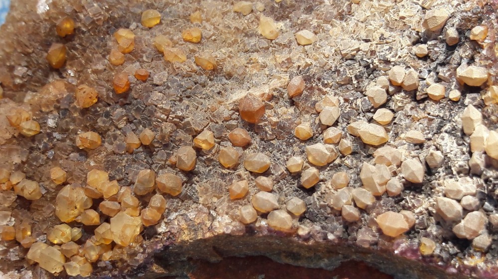 20210322_163037 (3).jpg