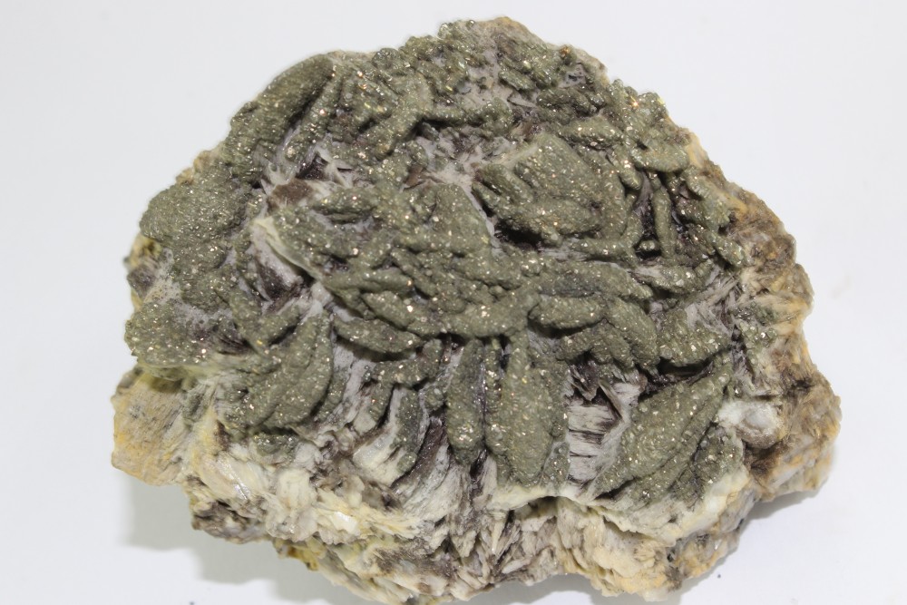 IMG_0314 (2) 9x6cm.JPG