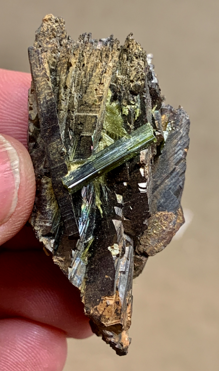 Capture d’écran 2021-03-13 à 19.55.27.png