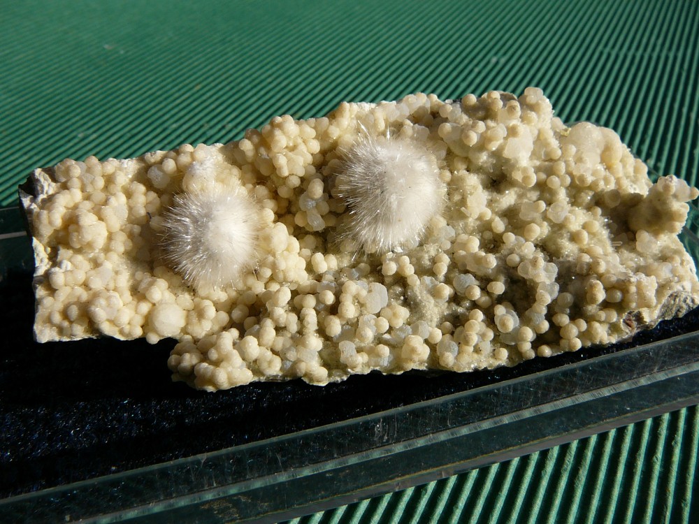 Okénite sur Gyrolite et Quartz Poona Inde 1.JPG