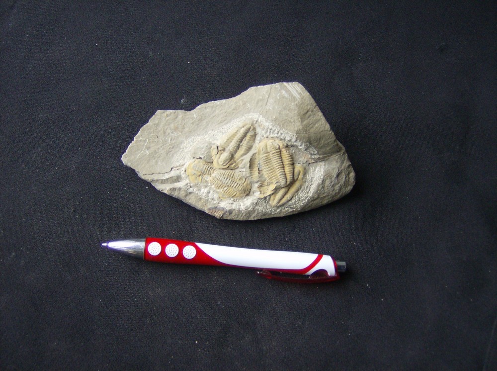 Bloc indeterminé de 5 pièces ERFOUD 14 X 9 cm (3).JPG