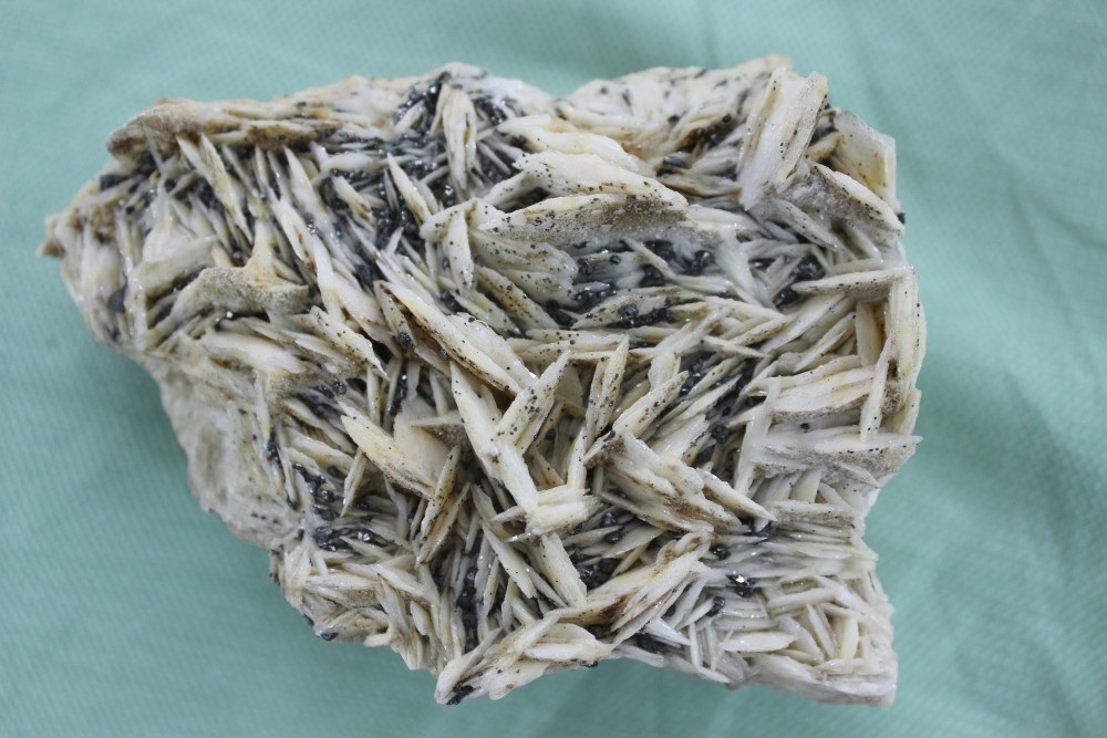 IMG_9215  10x7cm.JPG