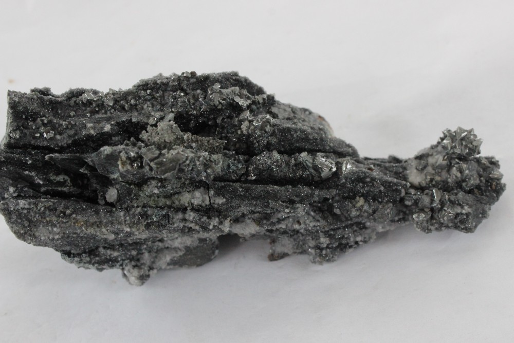 IMG_6337 (2) 10x5cm.JPG