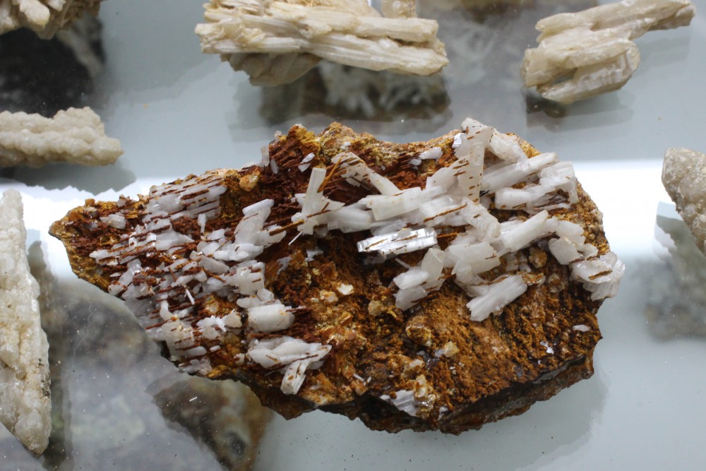 IMG_9678 (2)  13x6cm.JPG