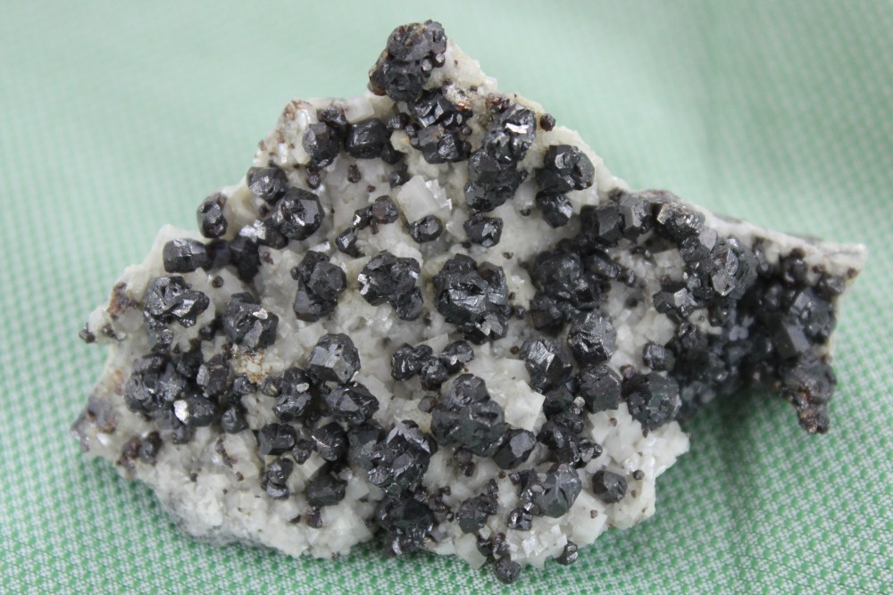 IMG_9279 (2)  7x5cm.JPG