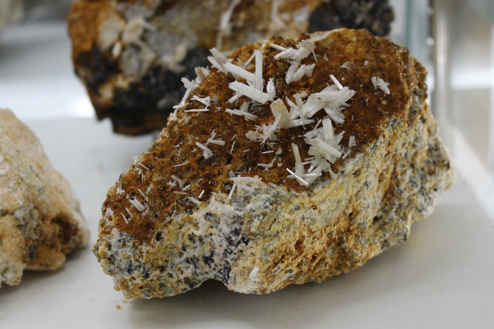 IMG_9564 (2)  14c6cm.JPG