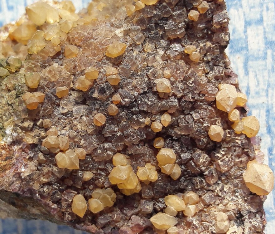 20210322_163050 (3).jpg