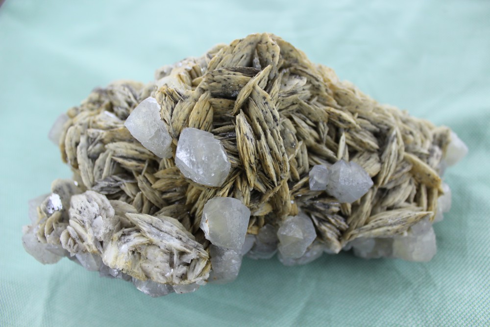 IMG_9237  20x13cm.JPG