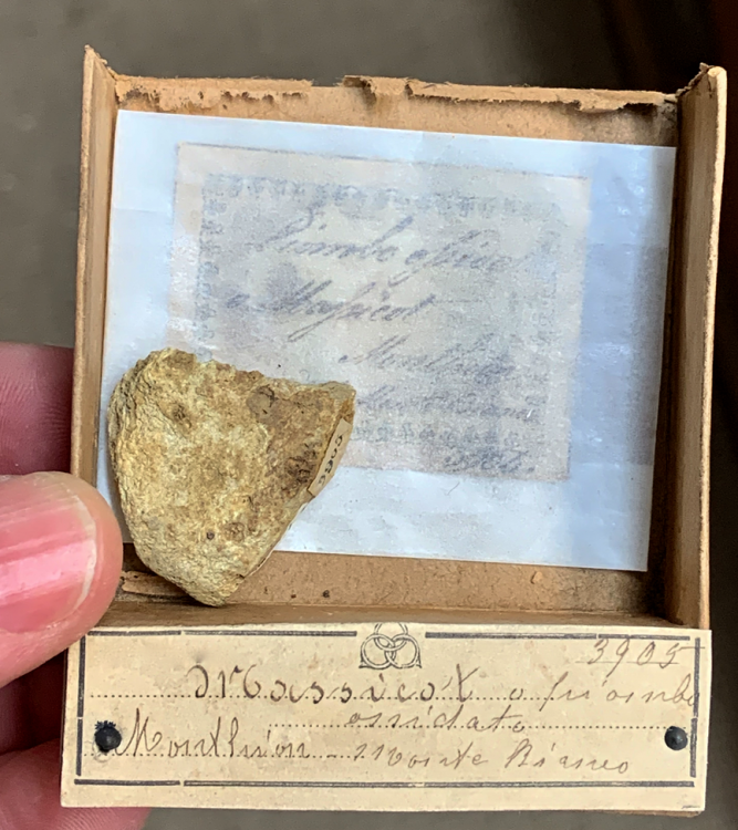 Capture d’écran 2021-03-19 à 00.04.33.png