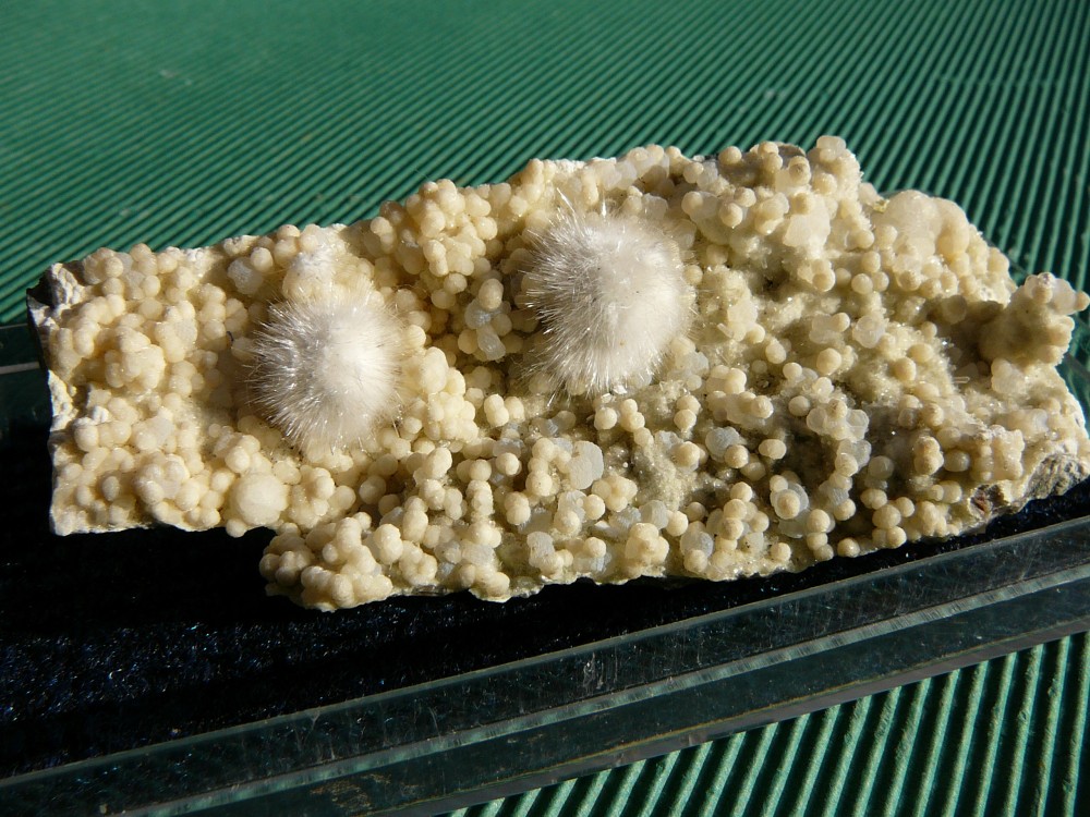 Okénite sur Gyrolite et Quartz Poona Inde 2.JPG